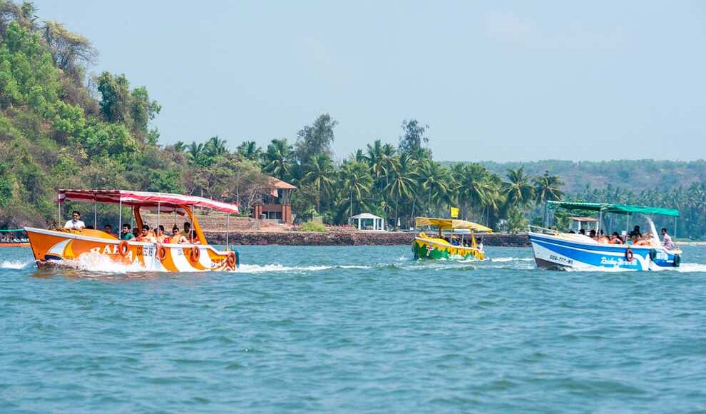 Dolphin Watching Tour - Goa